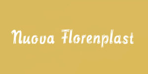 Realizzazione sito web- Nuova Florenplast