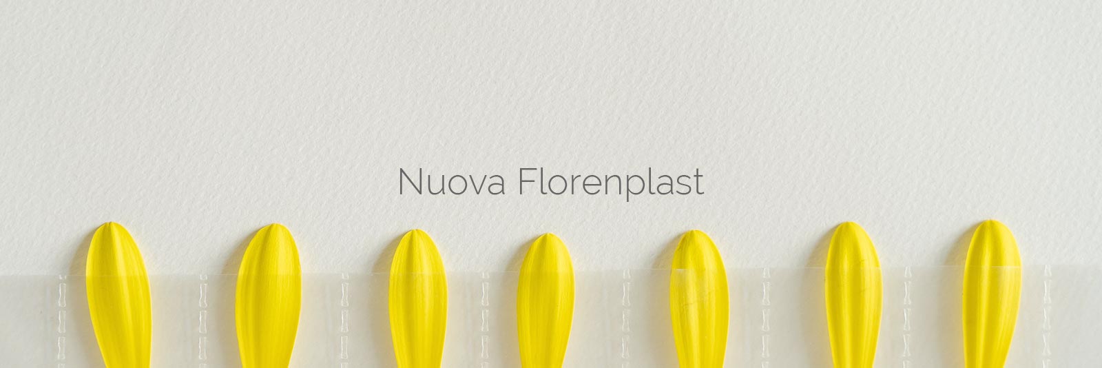 Realizzazione sito web- Nuova Florenplast